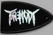Trussrod cover image