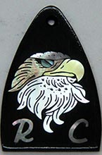 Trussrod cover image