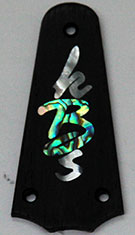Trussrod cover image