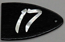 Trussrod cover image