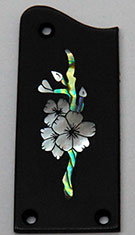 Trussrod cover image